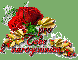 narozeniny.gif